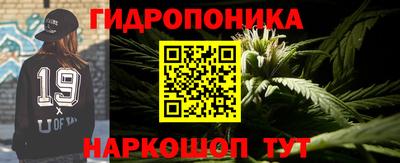 синтетический гашиш Заводоуковск
